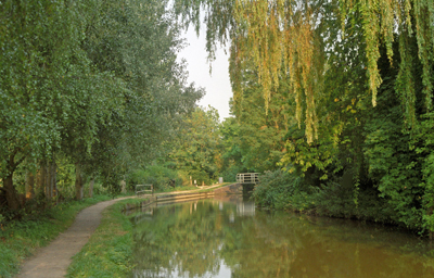 The canal in late summer